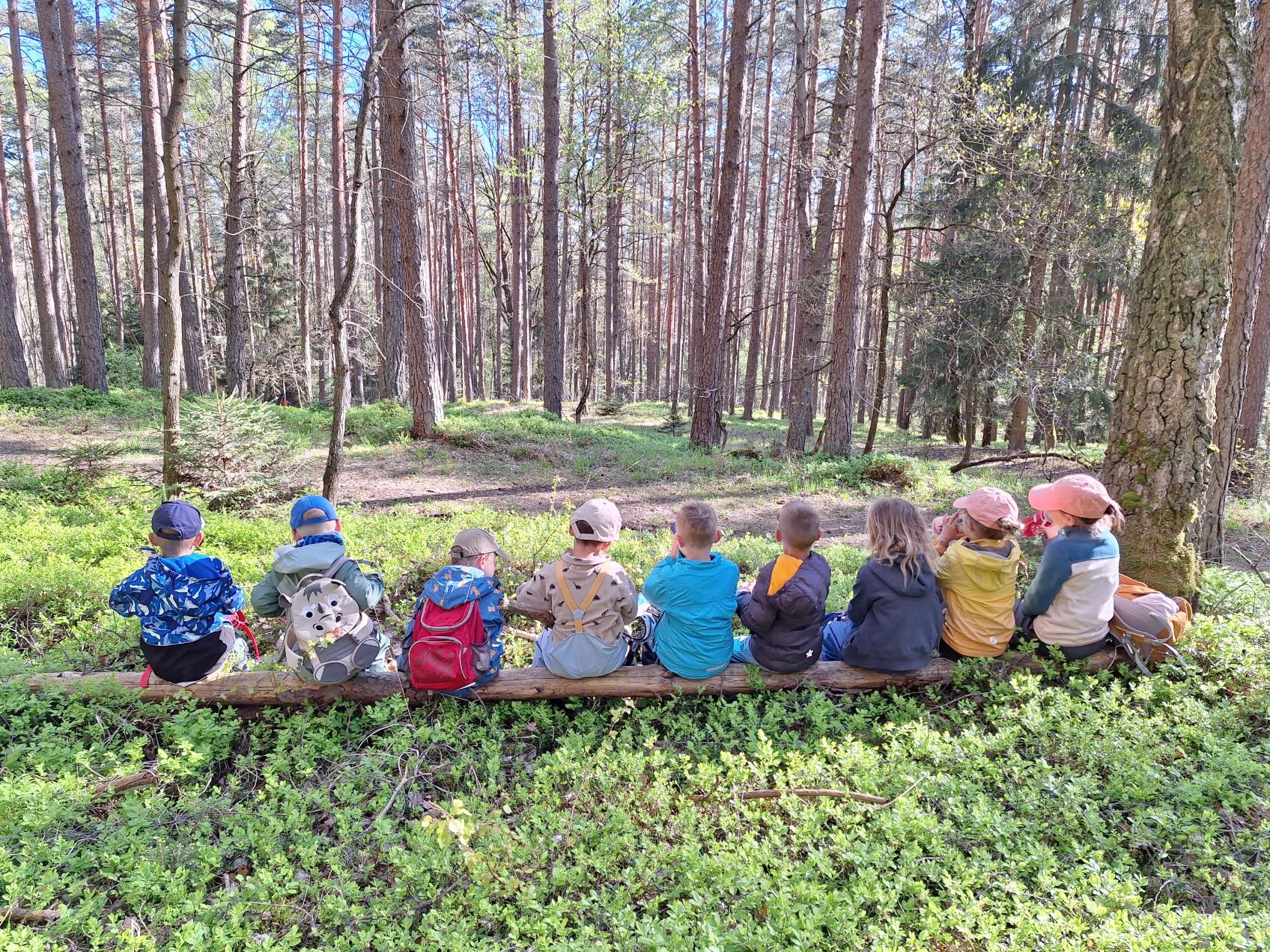 Wo Abenteuer beginnen (c) Kindergarten