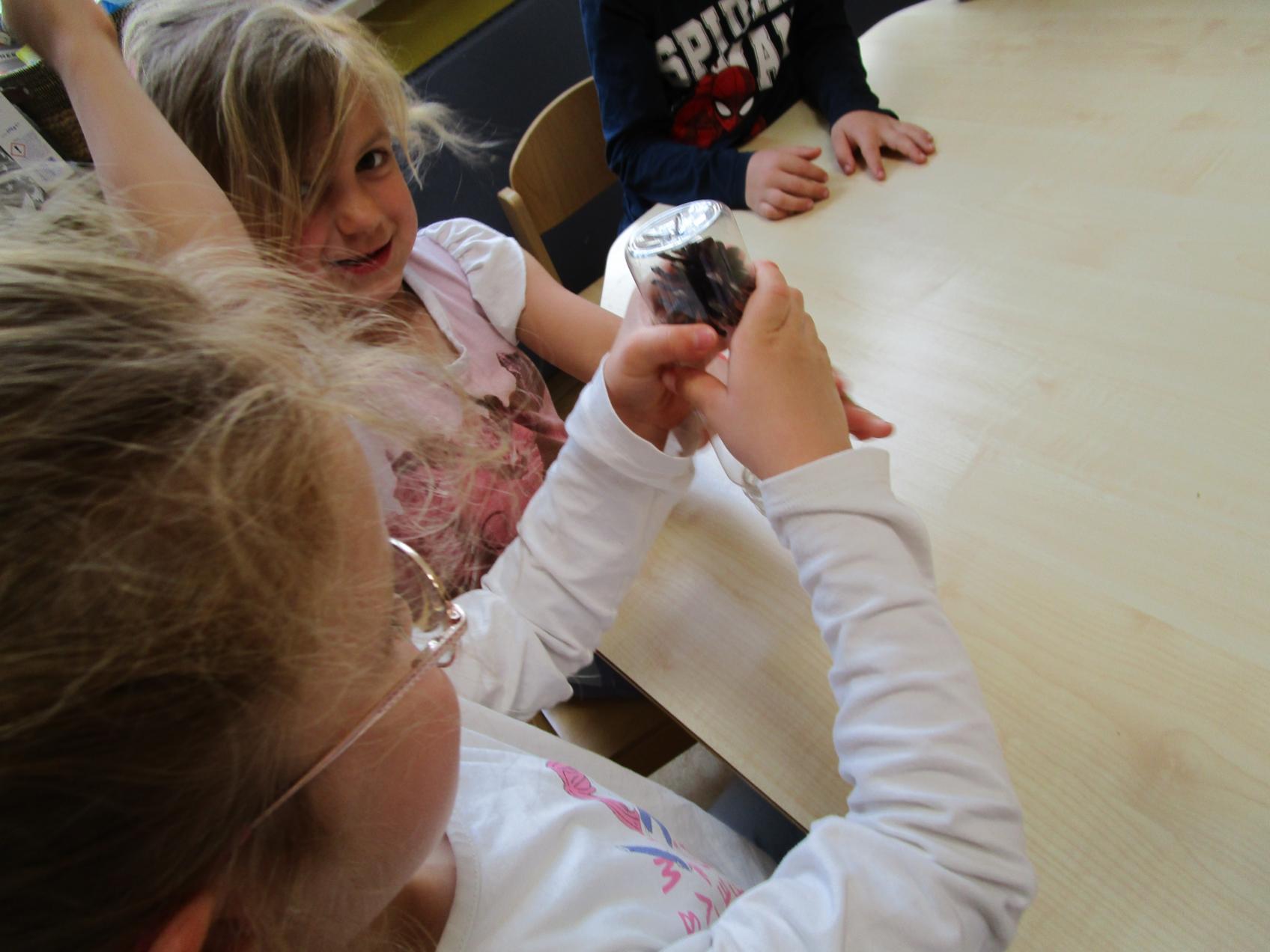Wie kommt der Zapfen da wieder raus? (c) Kindergarten